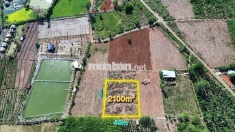 Bình Giã, TPHCM 2100m² mặt tiền 48m thênh thang, giá rẻ khu vực
