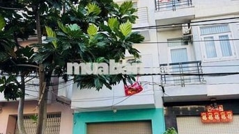 25tr Cho thuê Nhà Nguyên Căn KDC Nam Long Phú Thuận Q7.