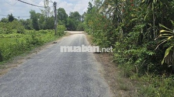 ​Hàng  Đất Sát Sông Sài Gòn, Mặt Tiền Nhựa, Ngang 45m Miên Man.