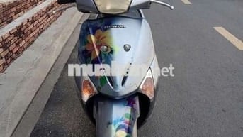 Honda SCR Xám