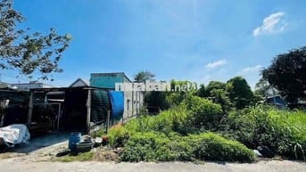 Bán Gấp 250m2 đất Thổ Cư Giá 750TR đường 16 xã Tân Thông Hội Củ Chi
