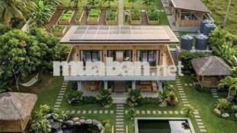 Bán đất nhà vườn, Biệt thự P12, Vũng Tàu
