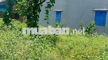 CHÍNH CHỦ BÁN 168M NHỈNH 5 TỶ ĐẤT KINH DOANH Ô TÔ ĐỖ THẮNG TRÍ