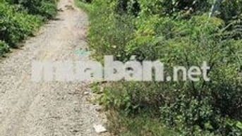 đất vườn mít kinh 3 cần thảo  1 công 6