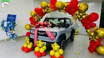 Xe điện VinFast VF3 Plus 2026 Xám
