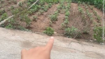 "Chính Chủ gửi bán ~70m đất ở Đan Kin-   Văn Giang - Hưng Yên  Đất sổ 