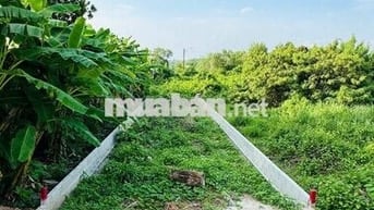 Đất vuông vức mặt tiền Nguyễn Văn Khạ - 125m2 - 700trieu
