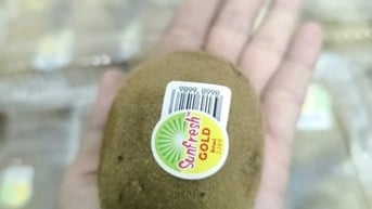 [Q6 HCM} Kiwi vàng 49k/ hộp 6 quả.