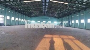 Cho Thuê Xưởng Ngoài KCN Mặt Tiền Tỉnh Lộ Củ Chi