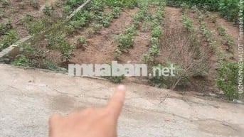 bán đất Đan Kin-  Văn Giang - Hưng Yên VÀNH ĐAI 3.5 Ecopark và Vin2-3