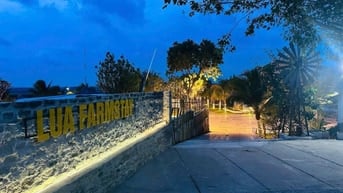 TÀI CHÍNH 850 TRIỆU ANH CHỊ EM KHÔNG NÊN BỎ QUA TÀI SẢN NÀY 