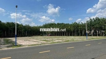 220m2 nhánh Cao Bá Quát P.Minh Hưng giá đầu tư