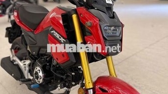 HONDA MSX125JV