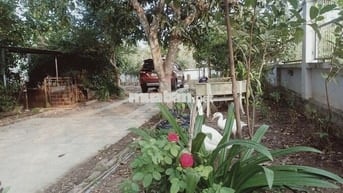 Cho thuê nhà vườn có sân để ô tô, gần chợ–Phường Bà Rịa-TPHCM