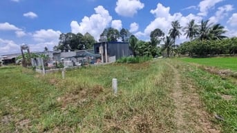 Khoảng 650m2 đường xe hơi. Dân đông. Đất lập vườn. chỉ 3xx tr 