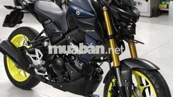 Yamaha MT15 2019 Xanh đen 16k km