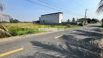 Bán đất thổ lúa đường nhựa tại Đức Huệ, Long An