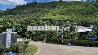 💰CHỈ 300 TRIỆU SỞ HỮU NGAY ĐẤT VƯỜN SINH THÁI ĐÔ THỊ LA NGÀ  - TRỊ AN💰