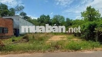 🔥BÁN GẤP LÔ ĐẤT THỚI HÒA 210m2/750tr GIÁP KCN MỸ PHƯỚC 3