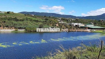 🌿 Chỉ 1ty650 Sở Hữu 1000m2 View Hồ Đẹp Mê – Sẵn 250m2 Thổ Cư