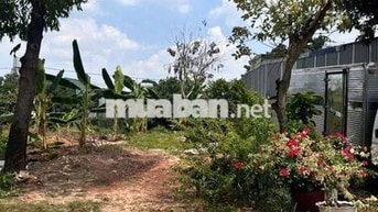 Bán đất Bến Cát, Bình Dương 150m2/ 680tr vị trí đẹp gần KCN 