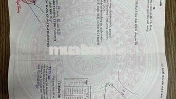 Bán 1000m đất Cây Lâu Năm Xã Hưng Long Bình Chánh