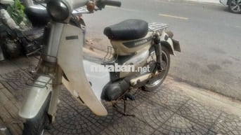 cúp ém lùn  50cc
