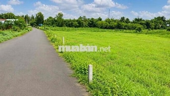 1 TỶ 2 SỞ HỮU NGAY 500M2 ĐẤT CỦ CHI - ĐƯỜNG NHỰA - XÂY NHÀ VƯỜN ĐẸP