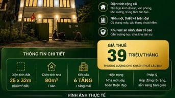 Nguyên Căn Mới Xấy MT Trần Văn Giàu. Diện tích : 25 x 32m