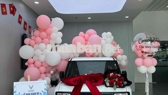 Xe điện VinFast VF 3 Plus Trắng
