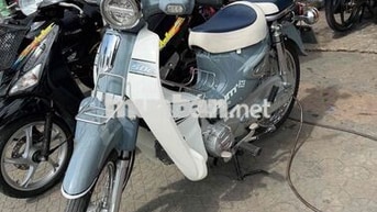 Halim 50 2023 Xám trắng