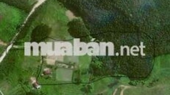 CẦN BÁN LÔ ĐẤT VƯỜN BAM SUOI  ĐẸP – DIỆN TÍCH THỰC TẾ 20.000m²