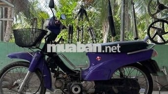 Kawasaki Max Nhật Tím