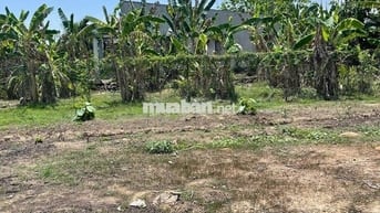 BÁN 1045M2 ĐẤT CSO 23M MẶT TIỀN ĐƯỜNG HIÊN THỊU,DÂN CƯ Ở ĐÔNG ĐÚC.780T