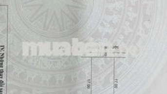 Bán đất  mặt tiền đường  5m5  TĐC  Hoà Sơn gần  chợ An Ngãi Đông 