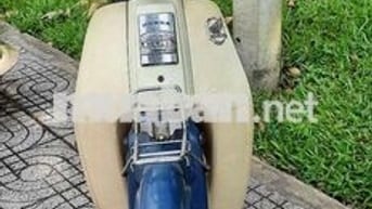 Honda Cub 50 1994 Trắng, Xanh