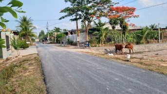 Đất Tây Ninh giá rẻ. Đường nhựa, khu dân cư. 5x35 giá 4xx 