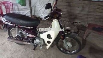 Honda Dream Thái màu Tím
