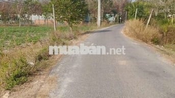 Đất sổ đỏ 3.000m2 Châu Thành, Tây Ninh