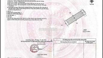Chính chủ Bán Nhà trả nợ gấp - giá mềm thương lượng