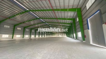 cho thuê kho xưởng khu công nghiêp cần đước  , Tỉnh Tây Ninh