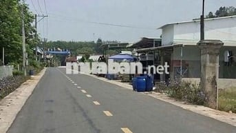 Bán đất mặt tiền 72.9m2 tại D12, Trừ Văn Thố, giá cực chất 399 triệu