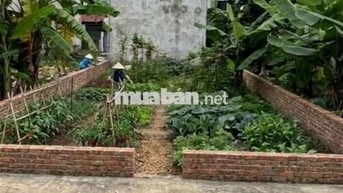 ĐẤT ĐẸP 60M2 TẠI SÓC SƠN - Ô TÔ VÀO TẬN ĐẤT - TIỀM NĂNG SINH LỜI CAO