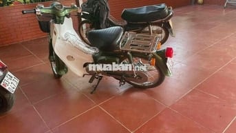 Honda Super Cub 50cc Xanh trắng