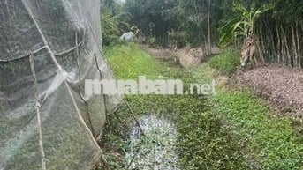 BÁN ĐẤT ĐƯỜNG TRẦN HƯNG ĐẠO, TPST