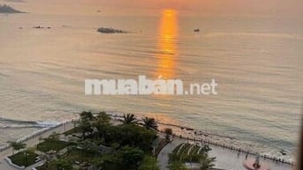 Cho Thuê Căn Góc Mường Thanh 04  Trần Phú
