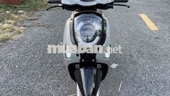 Cần Bán Scoopy zin đẹp lướt keng