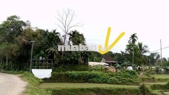 CẦN BÁN ĐẤT VƯỜN ĐẸP VIEW ĐỒNG TẠI TIÊN PHƯỚC  TẶNG KÈM NHÀ CẤP 4