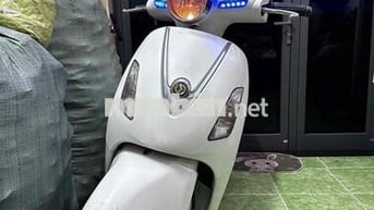 Xe Attila trắng