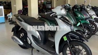 shmode . mẫu mới. màu xi măng. zin nguyên bản